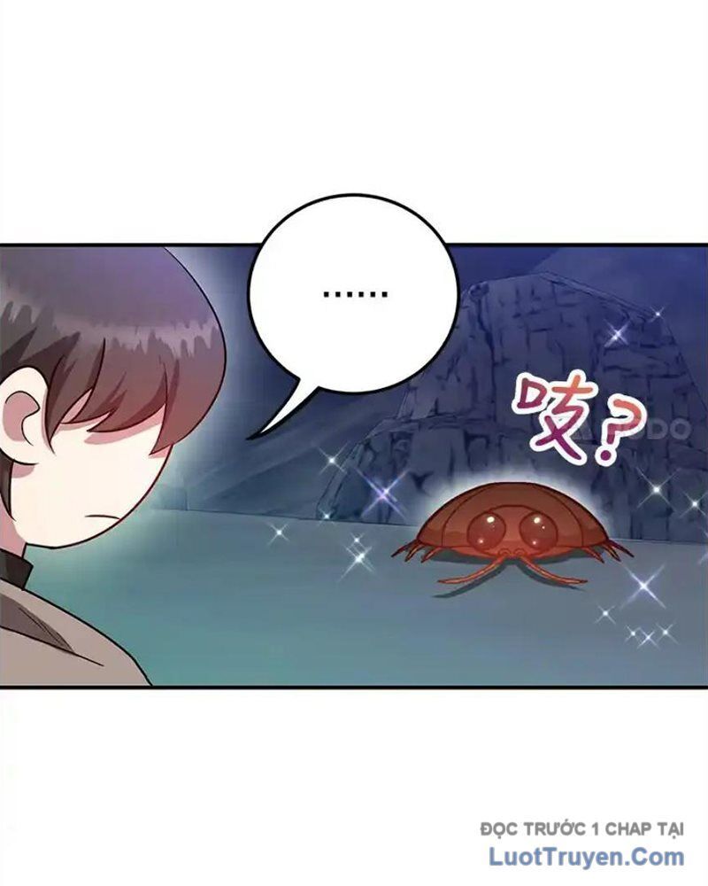 Tôi May Mắn Triệu Hồi Được Tinh Linh Hộ Vệ Hạng 10 Chapter 28 - Trang 2