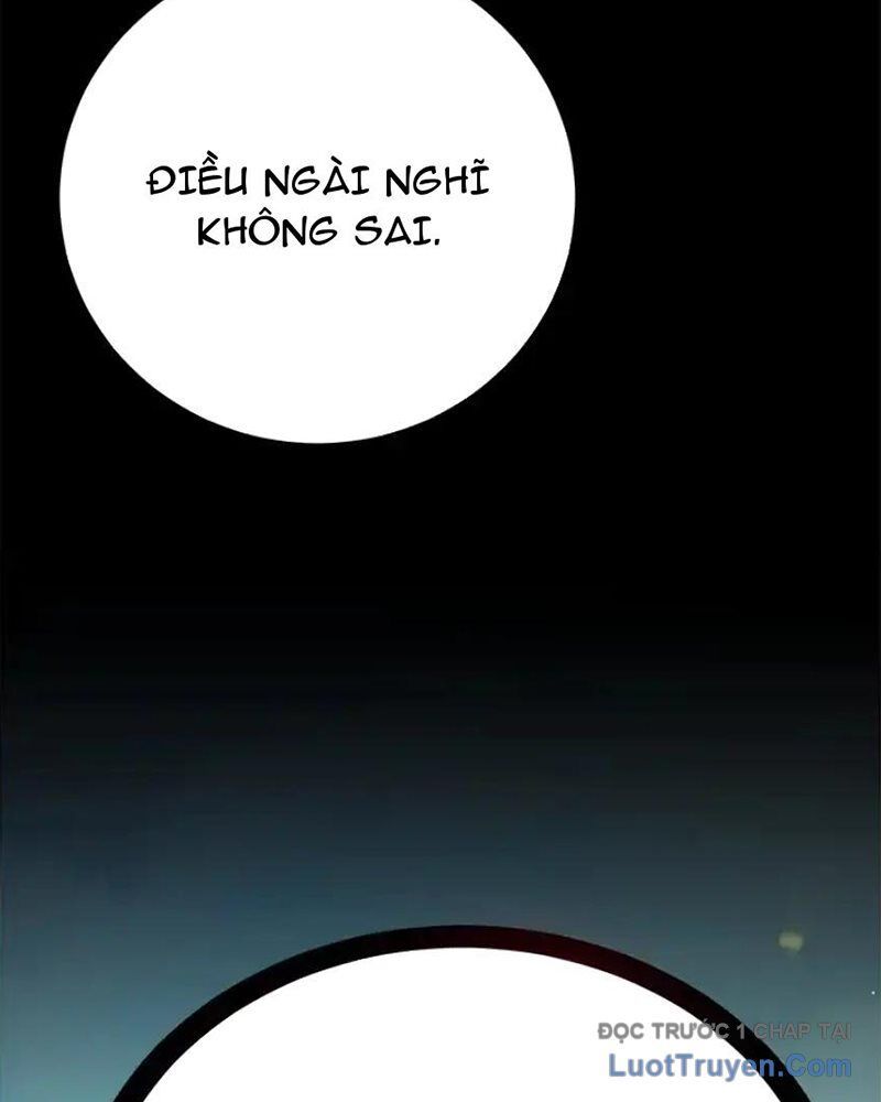 Tôi May Mắn Triệu Hồi Được Tinh Linh Hộ Vệ Hạng 10 Chapter 30 - Trang 2