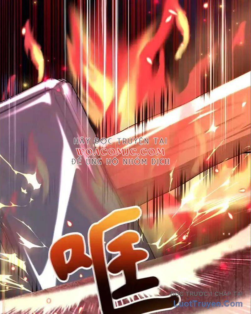 Tôi May Mắn Triệu Hồi Được Tinh Linh Hộ Vệ Hạng 10 Chapter 30 - Trang 2