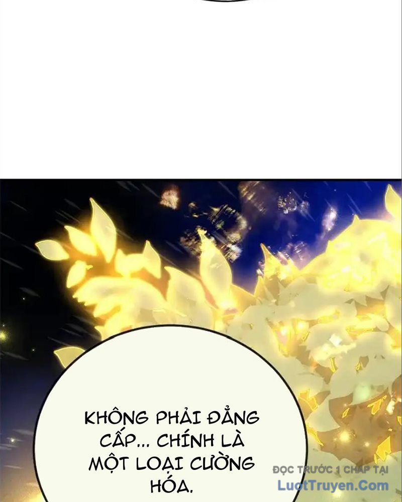 Tôi May Mắn Triệu Hồi Được Tinh Linh Hộ Vệ Hạng 10 Chapter 33 - Trang 2