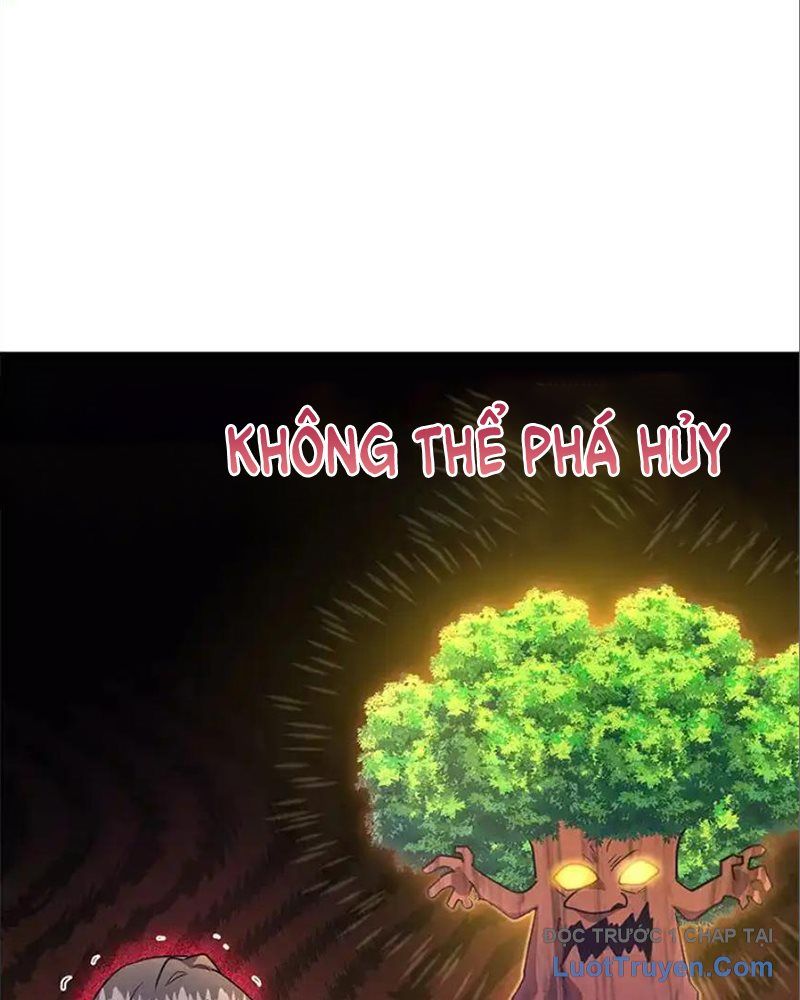 Tôi May Mắn Triệu Hồi Được Tinh Linh Hộ Vệ Hạng 10 Chapter 33 - Trang 2