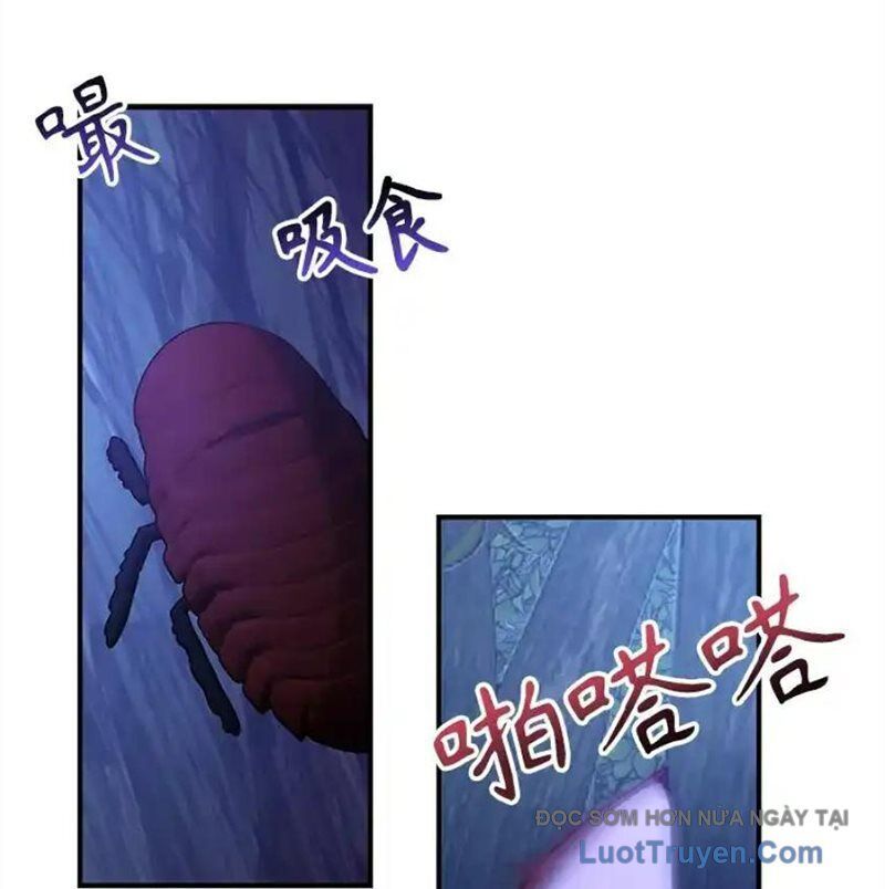 Tôi May Mắn Triệu Hồi Được Tinh Linh Hộ Vệ Hạng 10 Chapter 39 - Trang 2