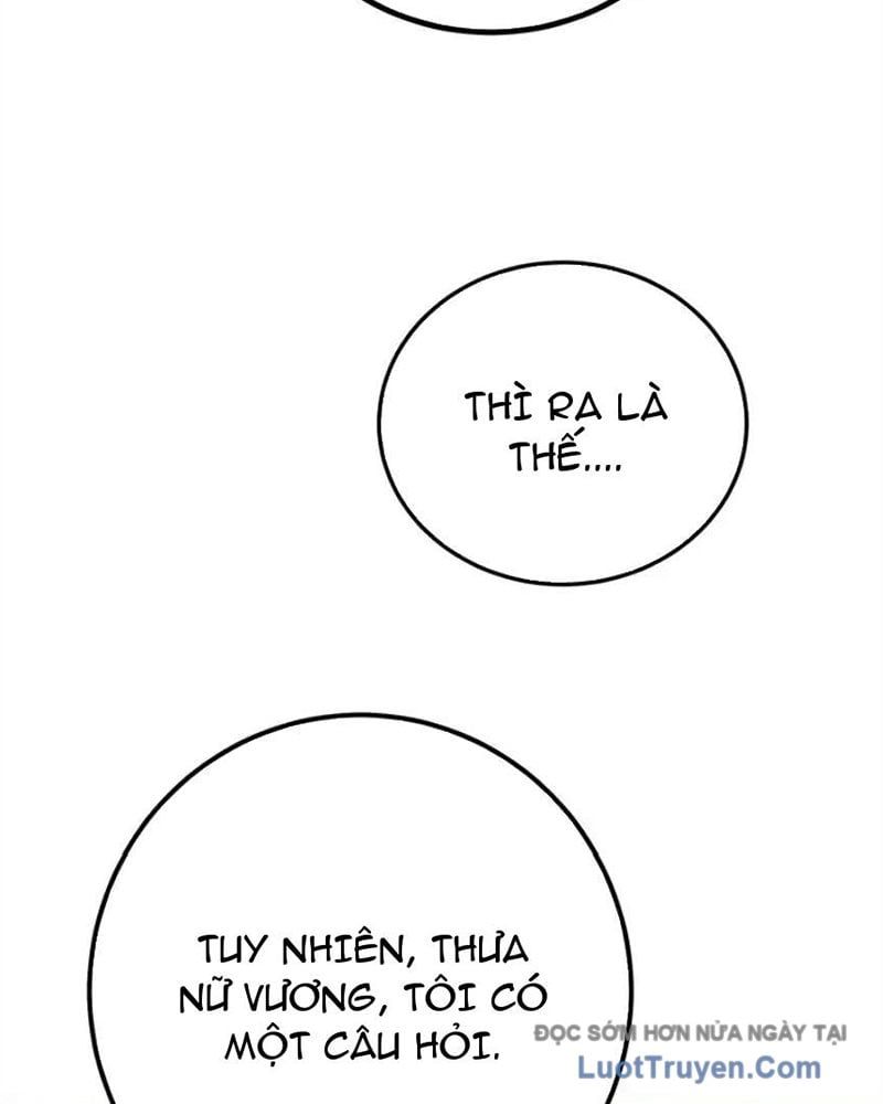 Tôi May Mắn Triệu Hồi Được Tinh Linh Hộ Vệ Hạng 10 Chapter 41 - Trang 2