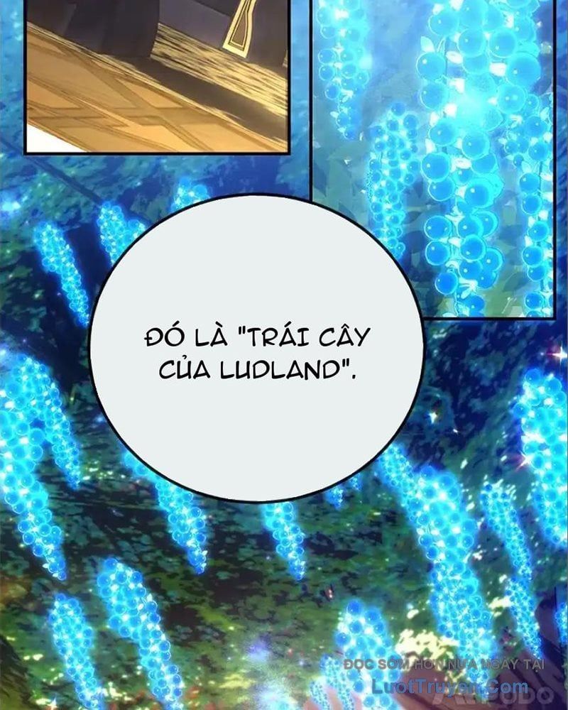 Tôi May Mắn Triệu Hồi Được Tinh Linh Hộ Vệ Hạng 10 Chapter 41 - Trang 2