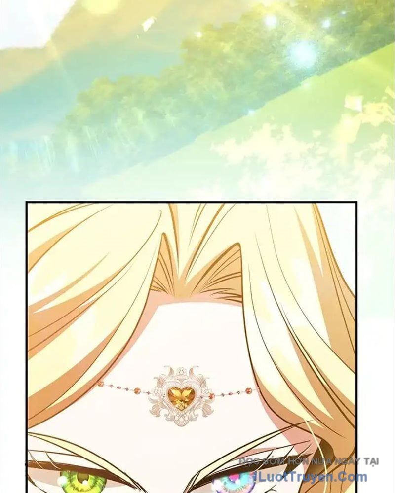 Tôi May Mắn Triệu Hồi Được Tinh Linh Hộ Vệ Hạng 10 Chapter 41 - Trang 2