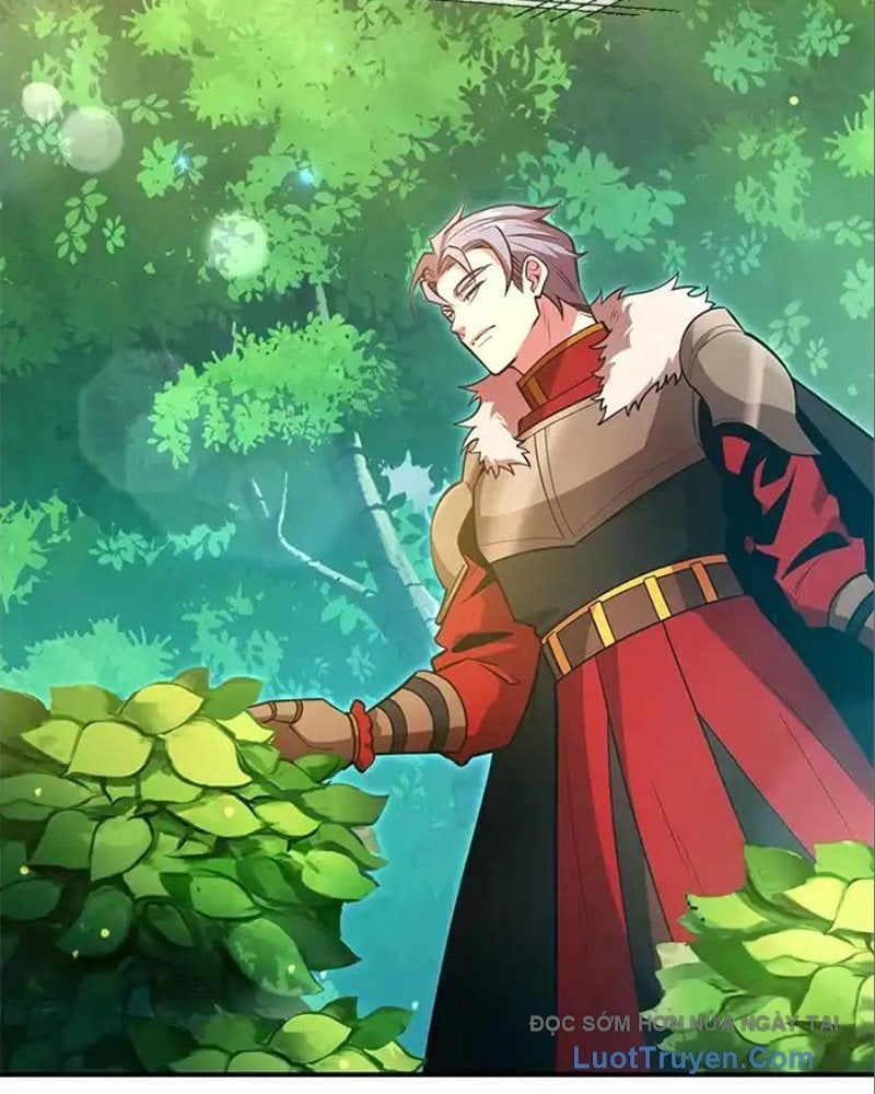 Tôi May Mắn Triệu Hồi Được Tinh Linh Hộ Vệ Hạng 10 Chapter 41 - Trang 2