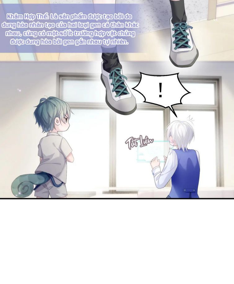 Tôi Muốn Ly Hôn Chapter 33 - Trang 2