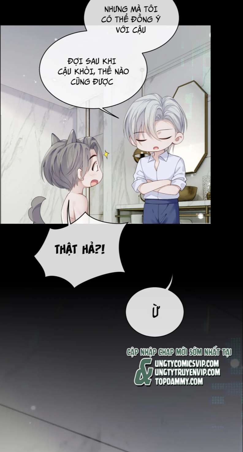 Tôi Muốn Ly Hôn Chapter 84 - Trang 2