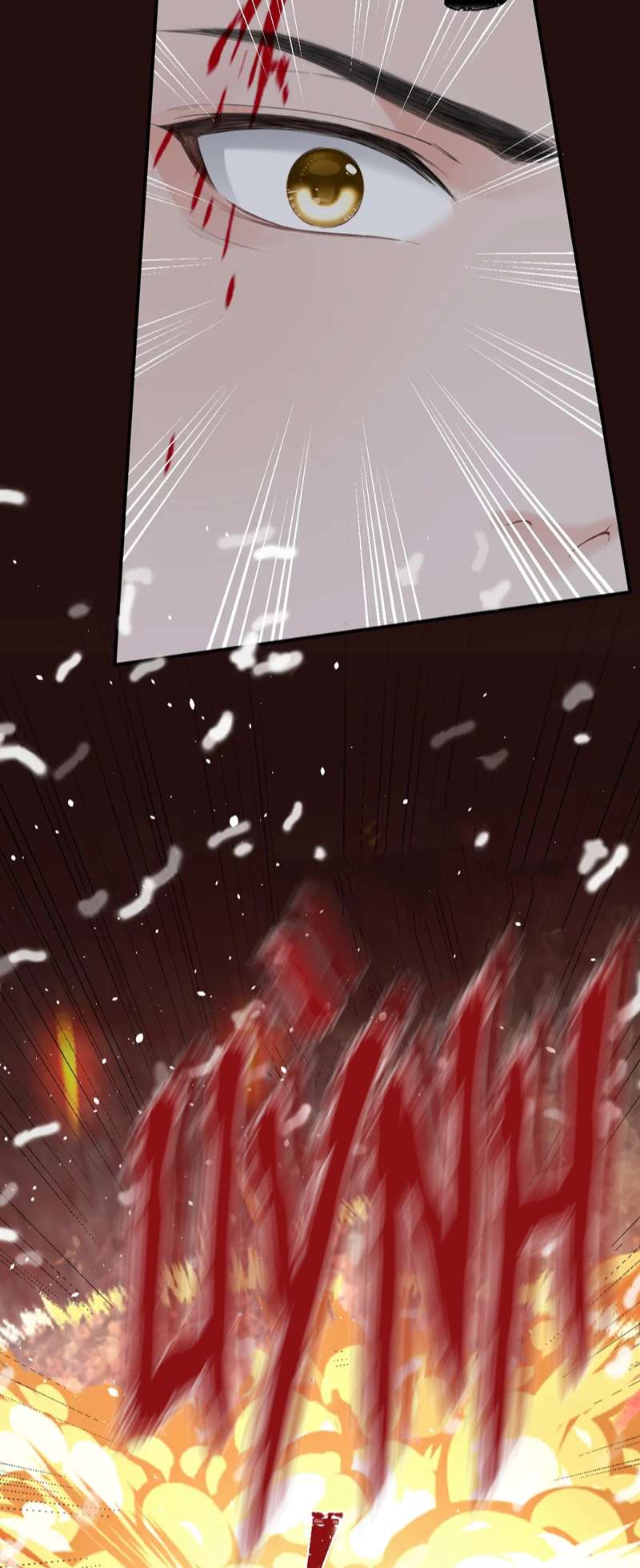 Tôi Muốn Ly Hôn Chapter 97 - Trang 2