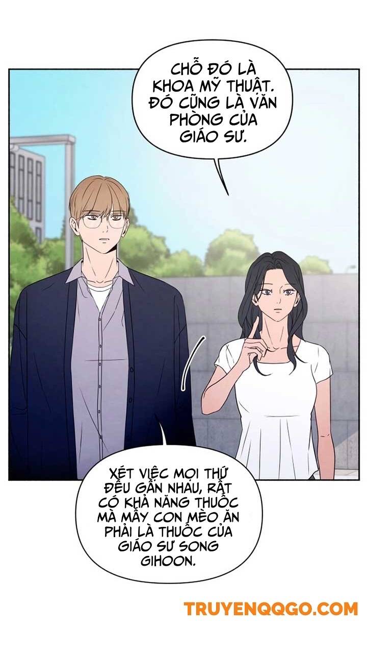 Tôi Muốn Ngừng Việc Giết Chóc Chapter 41 - Trang 2