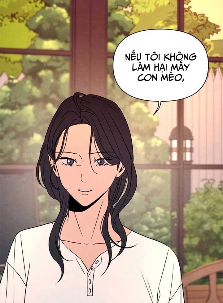 Tôi Muốn Ngừng Việc Giết Chóc Chapter 41 - Trang 2