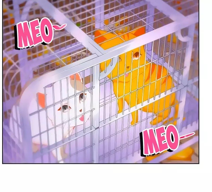 Tôi Muốn Trở Thành Tiểu Thư Công Tước Phế Vật Chapter 3 - Trang 2