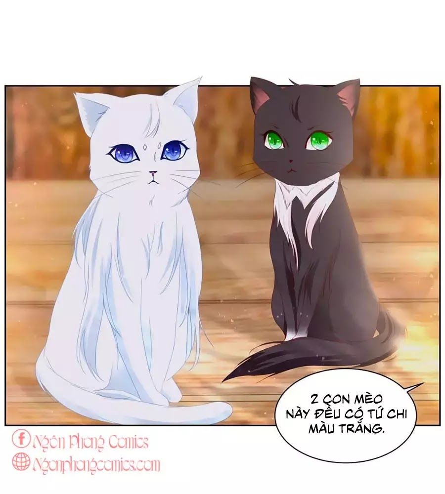 Tôi Muốn Trở Thành Tiểu Thư Công Tước Phế Vật Chapter 3 - Trang 2