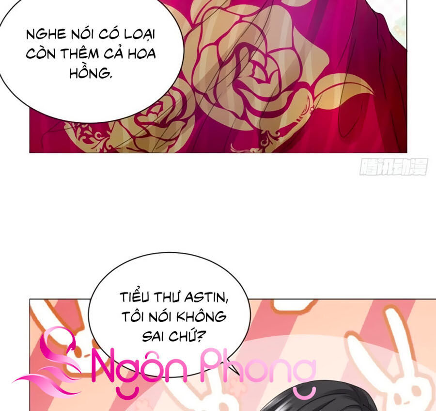 Tôi Muốn Trở Thành Tiểu Thư Công Tước Phế Vật Chapter 51 - Trang 2