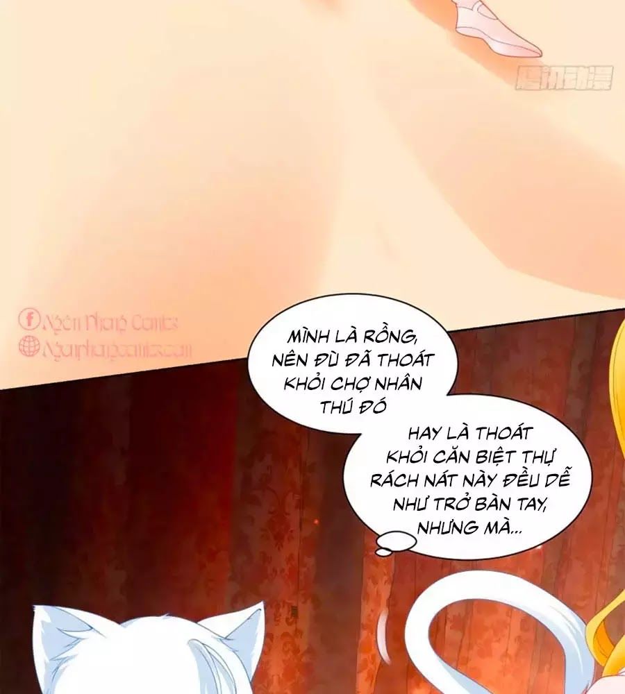 Tôi Muốn Trở Thành Tiểu Thư Công Tước Phế Vật Chapter 6 - Trang 2