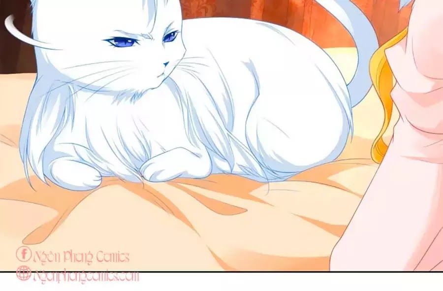 Tôi Muốn Trở Thành Tiểu Thư Công Tước Phế Vật Chapter 6 - Trang 2