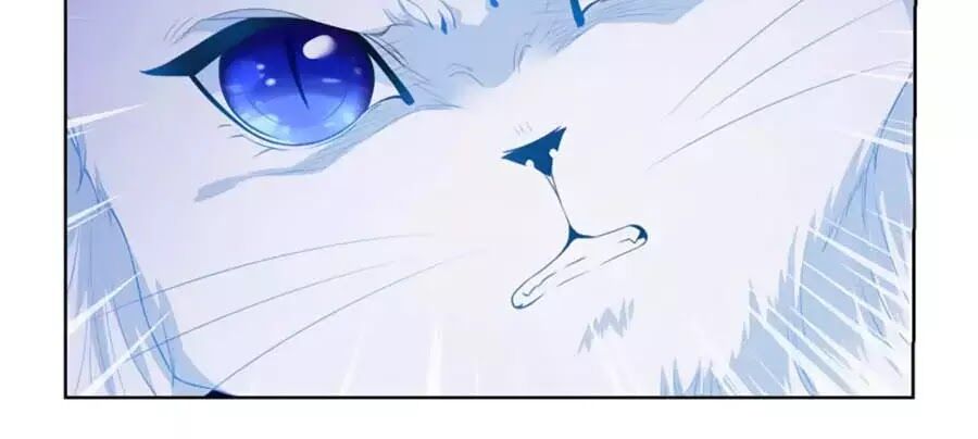 Tôi Muốn Trở Thành Tiểu Thư Công Tước Phế Vật Chapter 6 - Trang 2