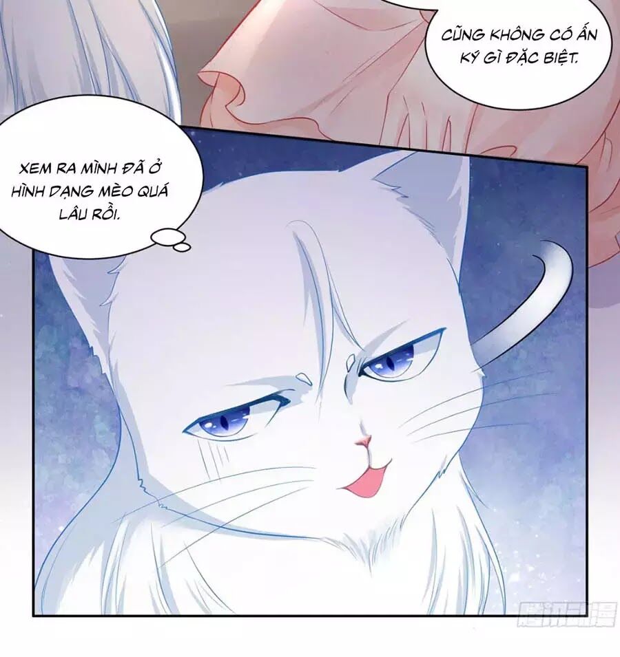 Tôi Muốn Trở Thành Tiểu Thư Công Tước Phế Vật Chapter 7 - Trang 2