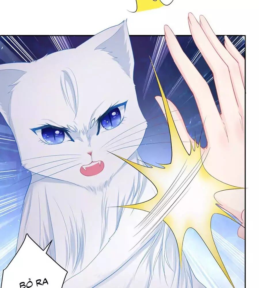 Tôi Muốn Trở Thành Tiểu Thư Công Tước Phế Vật Chapter 7 - Trang 2