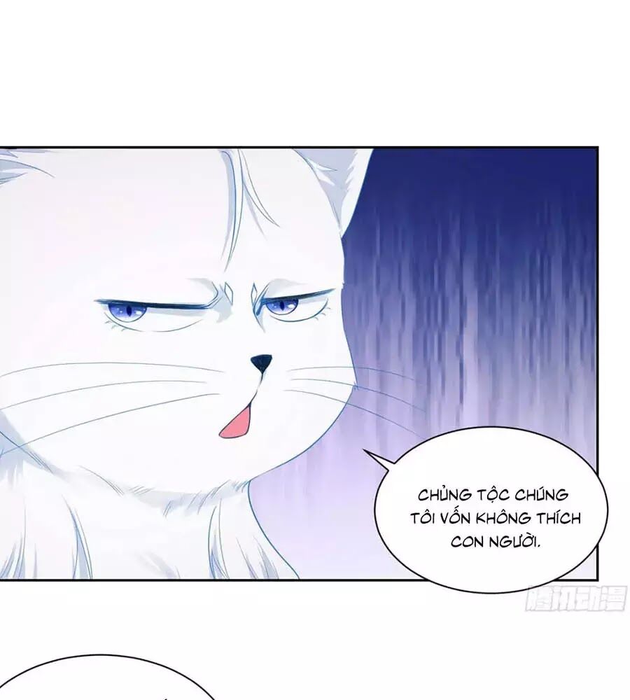 Tôi Muốn Trở Thành Tiểu Thư Công Tước Phế Vật Chapter 7 - Trang 2