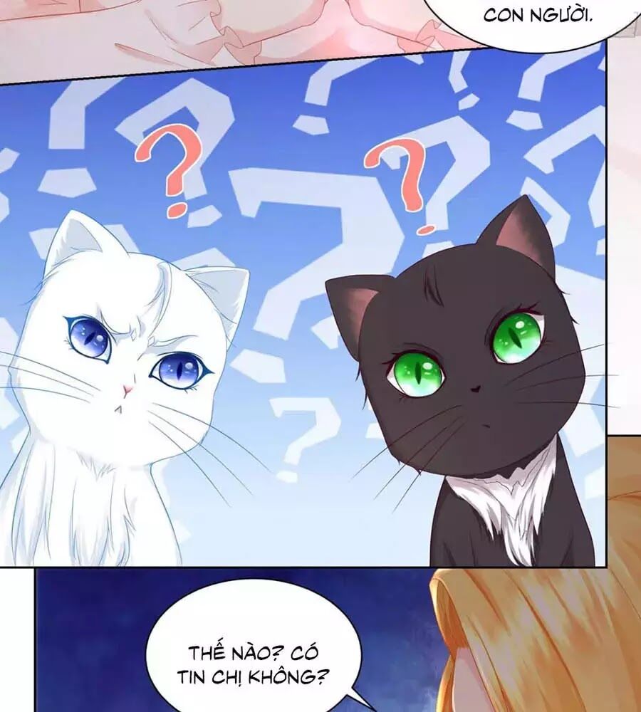 Tôi Muốn Trở Thành Tiểu Thư Công Tước Phế Vật Chapter 7 - Trang 2