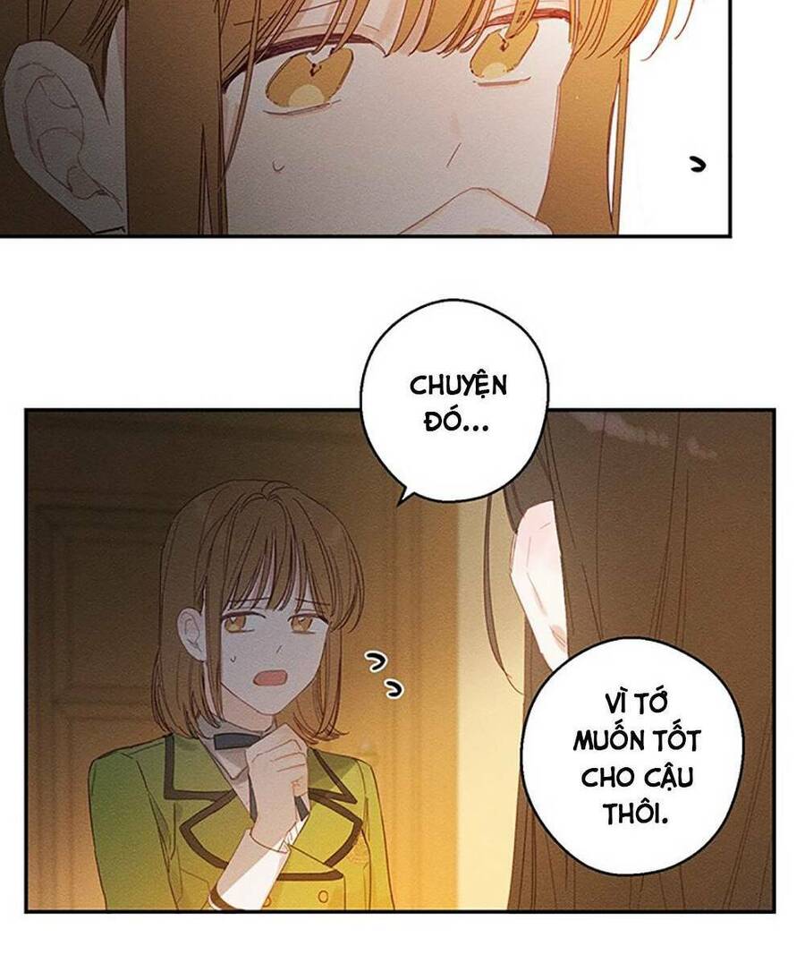 Tôi Phải Giấu Em Trai Trước Đã Chapter 11 - Trang 2