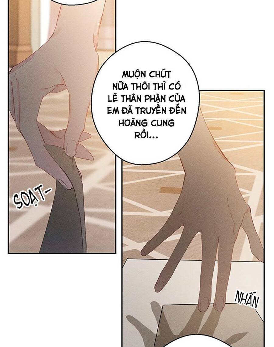 Tôi Phải Giấu Em Trai Trước Đã Chapter 11 - Trang 2