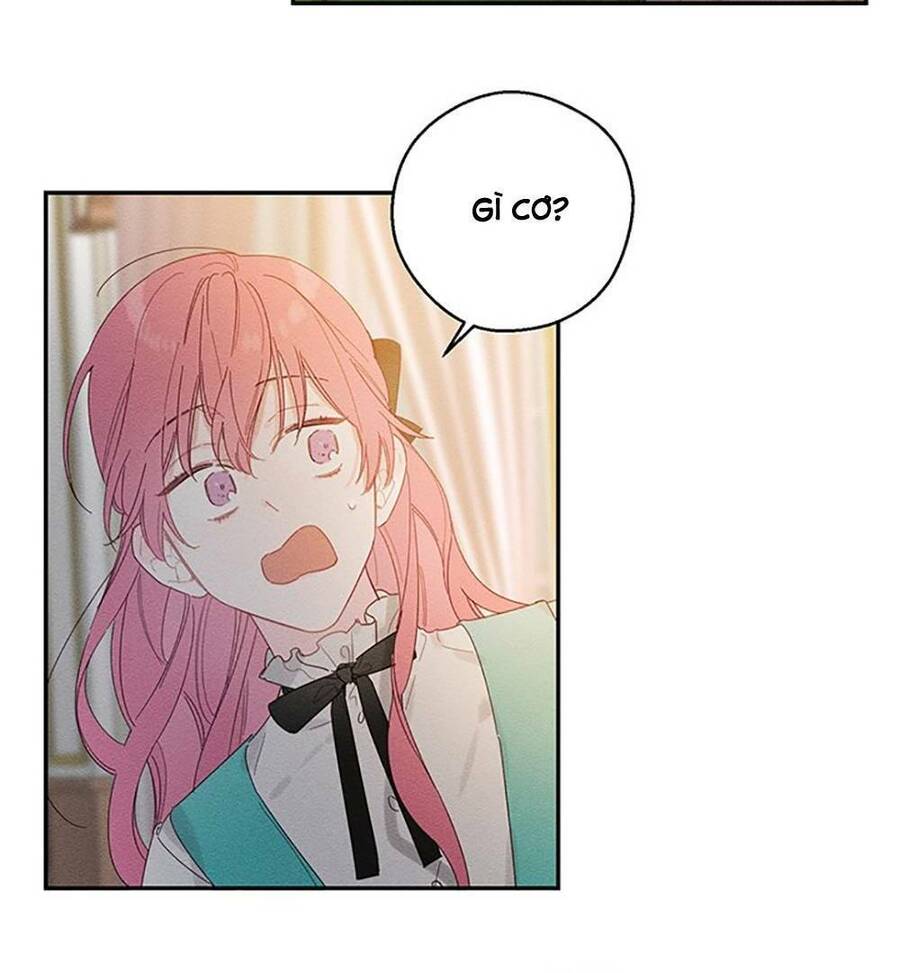 Tôi Phải Giấu Em Trai Trước Đã Chapter 12 - Trang 2