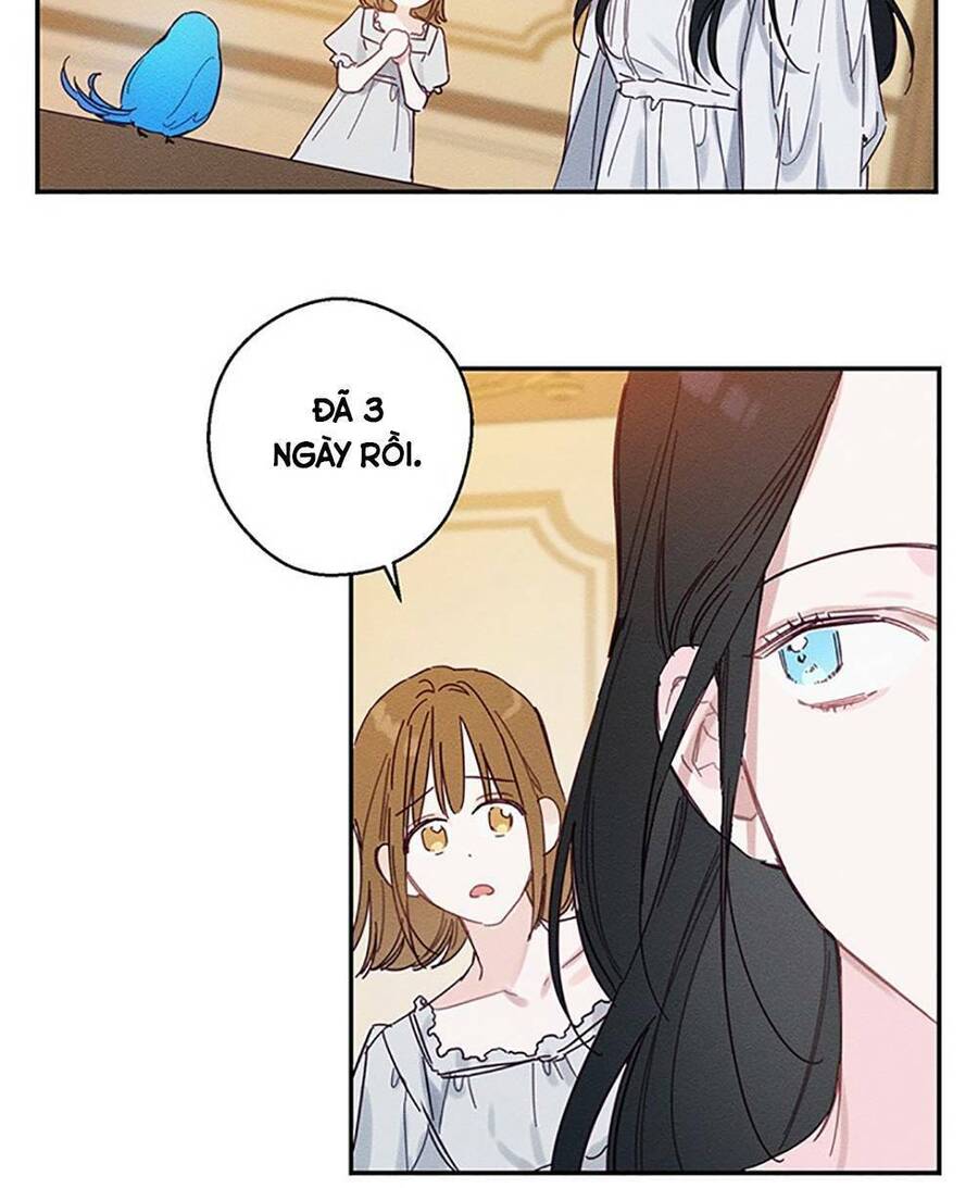 Tôi Phải Giấu Em Trai Trước Đã Chapter 15 - Trang 2