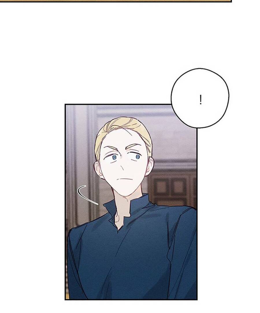 Tôi Phải Giấu Em Trai Trước Đã Chapter 15 - Trang 2