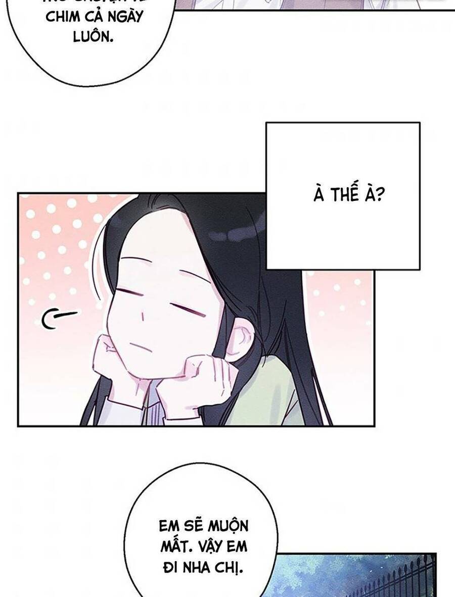 Tôi Phải Giấu Em Trai Trước Đã Chapter 17 - Trang 2