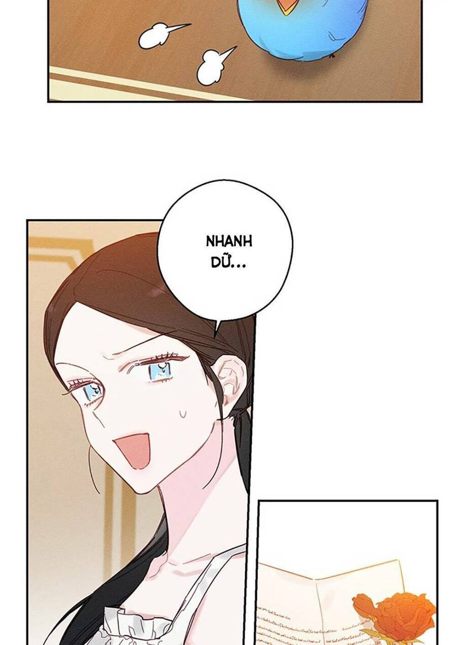 Tôi Phải Giấu Em Trai Trước Đã Chapter 19 - Trang 2