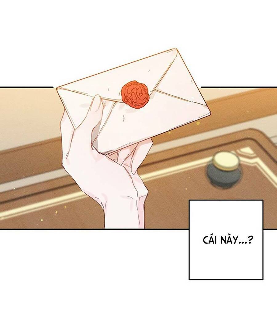 Tôi Phải Giấu Em Trai Trước Đã Chapter 19 - Trang 2