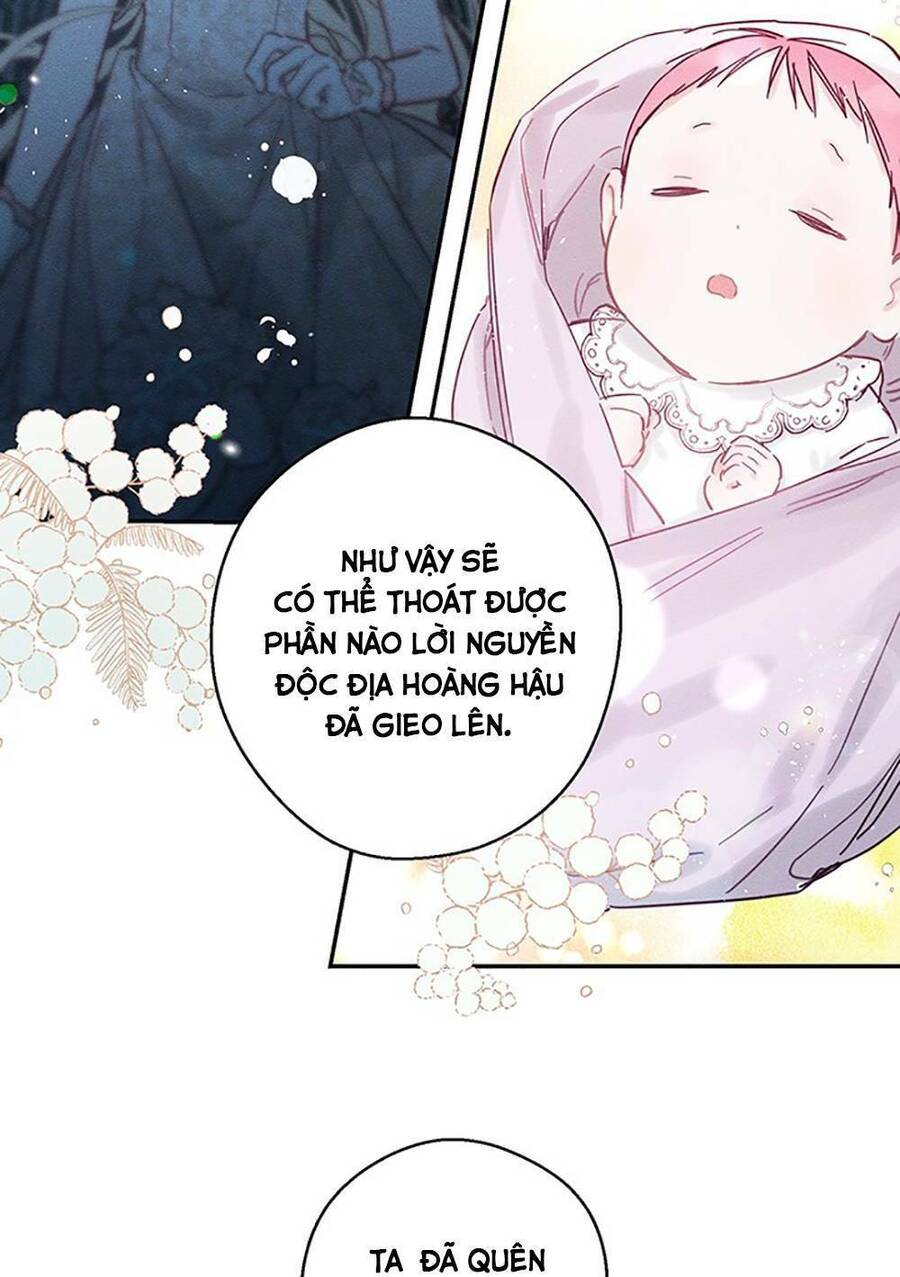 Tôi Phải Giấu Em Trai Trước Đã Chapter 28 - Trang 2