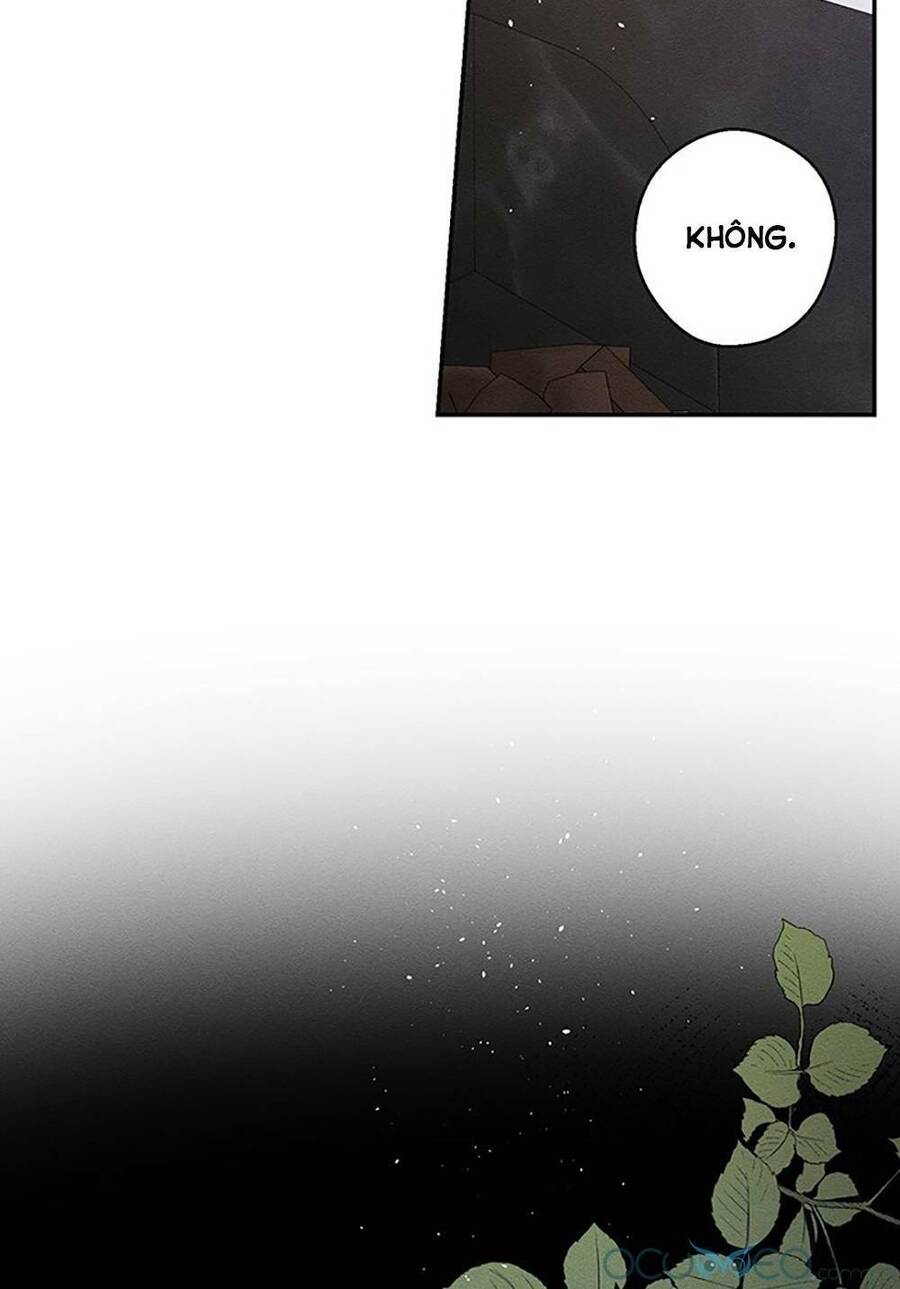 Tôi Phải Giấu Em Trai Trước Đã Chapter 28 - Trang 2