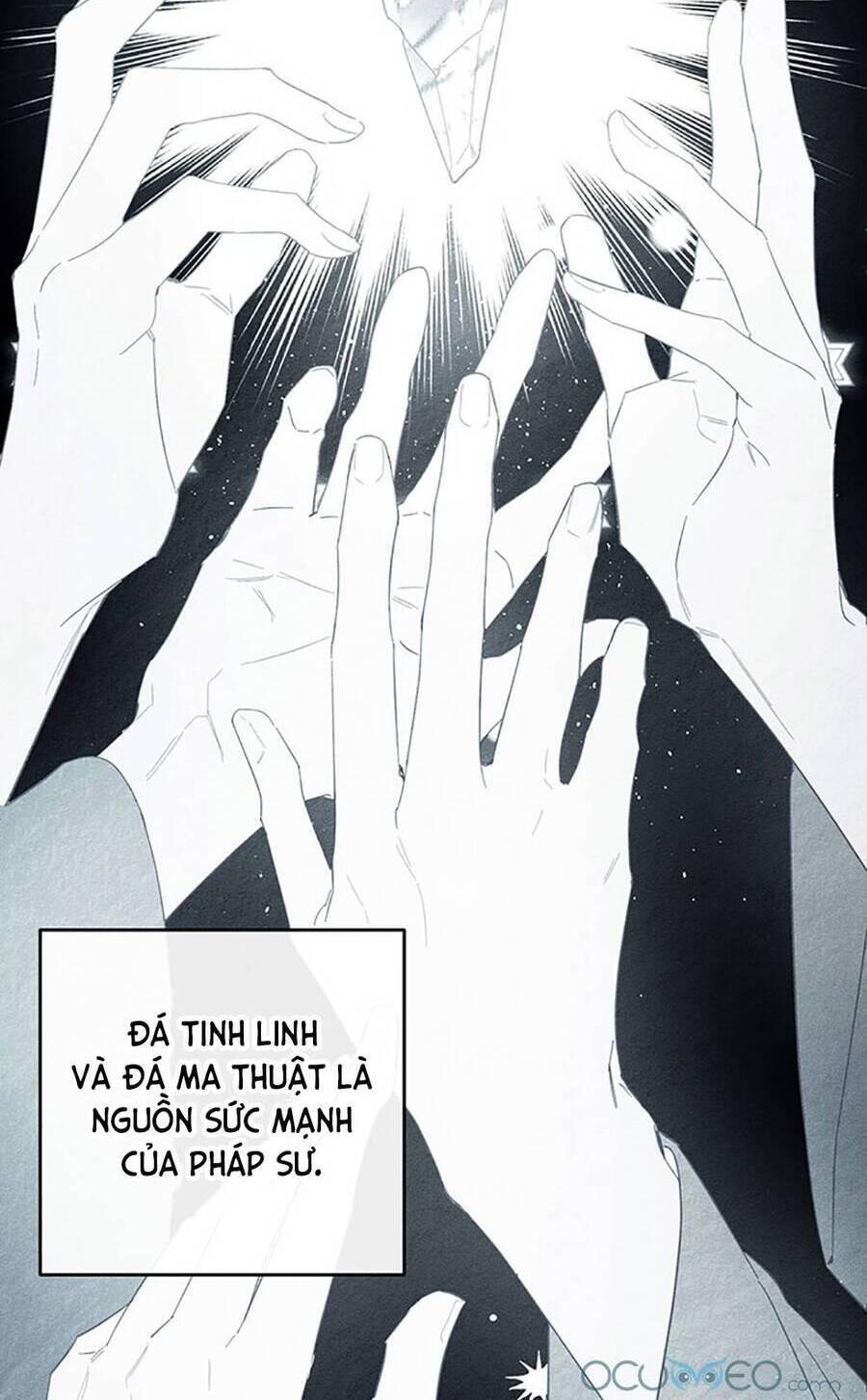 Tôi Phải Giấu Em Trai Trước Đã Chapter 37 - Trang 2