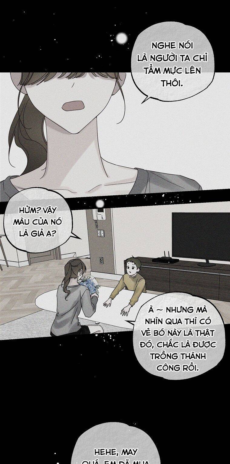 Tôi Phải Giấu Em Trai Trước Đã Chapter 48 - Trang 2