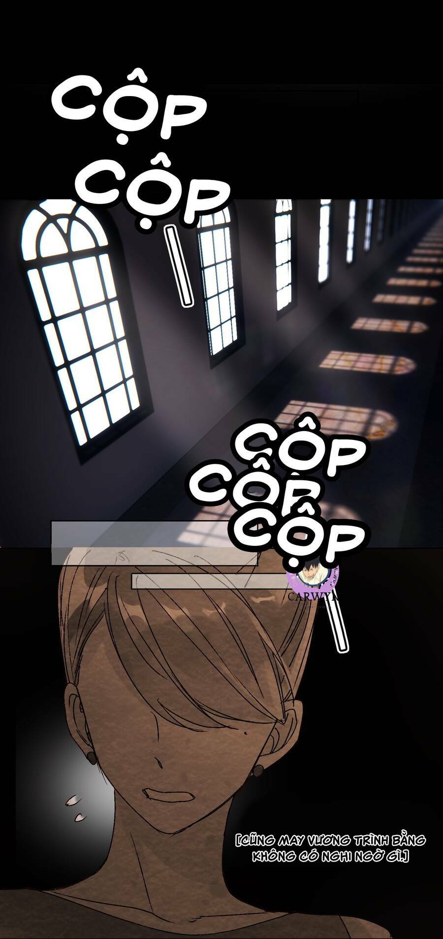 Tôi Phải Làm Một Kẻ Đại Xấu Xa Chapter 12 - Trang 2