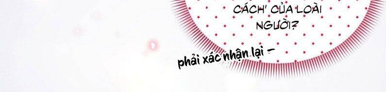 Tôi Phải Làm Một Kẻ Đại Xấu Xa Chapter 137 - Trang 2