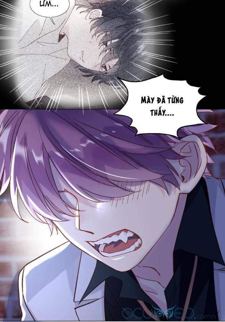 Tôi Phải Làm Một Kẻ Đại Xấu Xa Chapter 24 - Trang 2