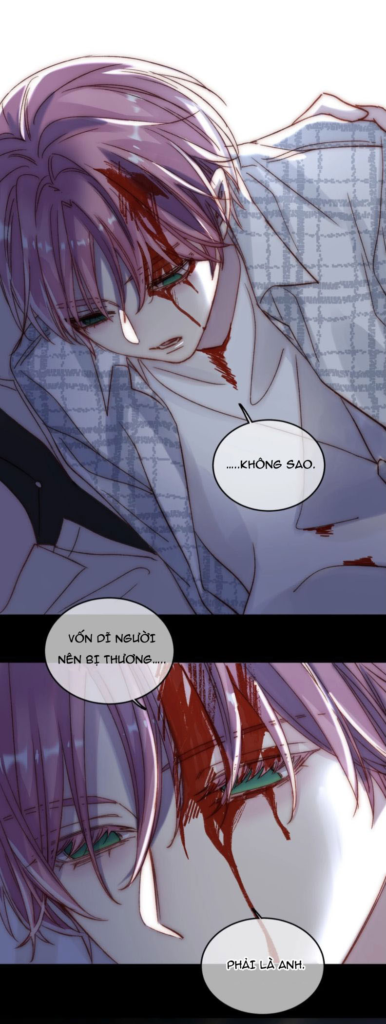 Tôi Phải Làm Một Kẻ Đại Xấu Xa Chapter 27.5 - Trang 2