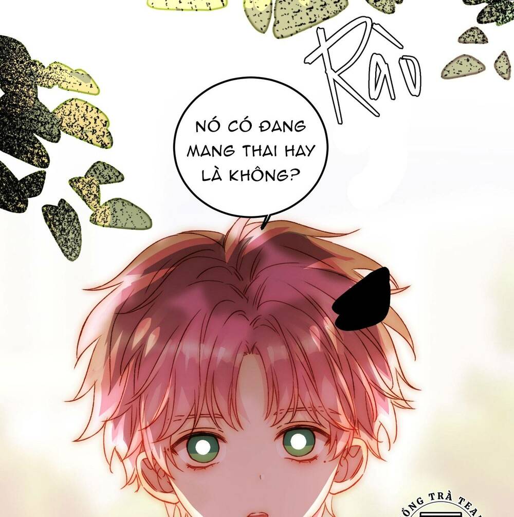 Tôi Phải Làm Một Kẻ Đại Xấu Xa Chapter 45 - Trang 2