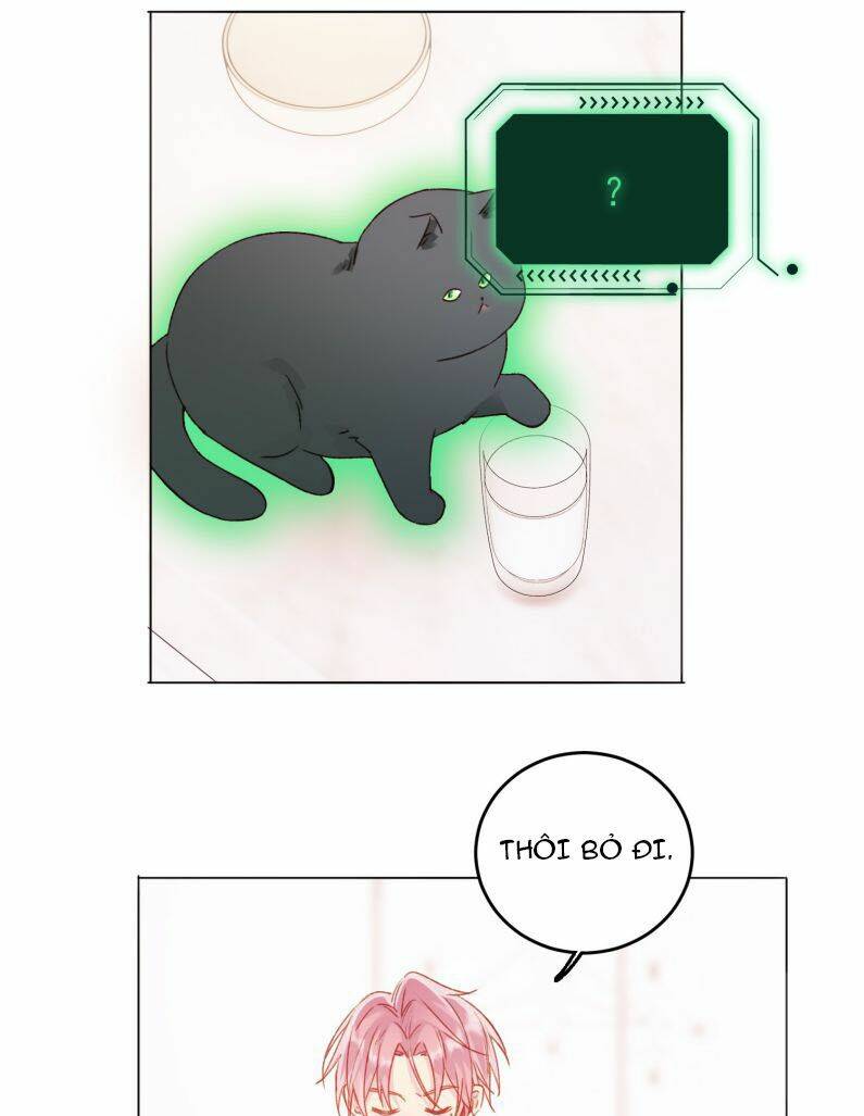 Tôi Phải Làm Một Kẻ Đại Xấu Xa Chapter 50 - Trang 2