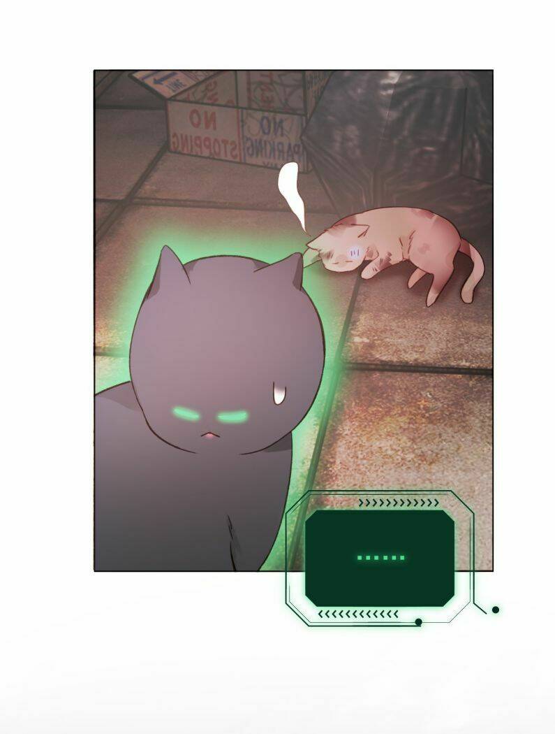 Tôi Phải Làm Một Kẻ Đại Xấu Xa Chapter 65 - Trang 2