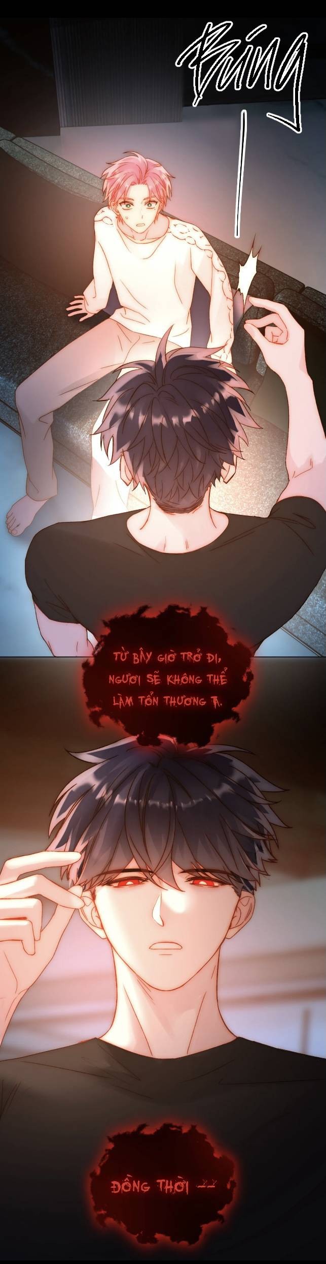 Tôi Phải Làm Một Kẻ Đại Xấu Xa Chapter 66.5 - Trang 2