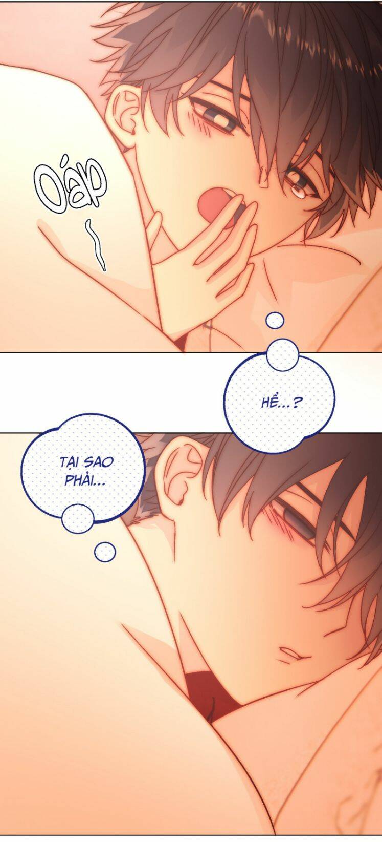 Tôi Phải Làm Một Kẻ Đại Xấu Xa Chapter 67 - Trang 2