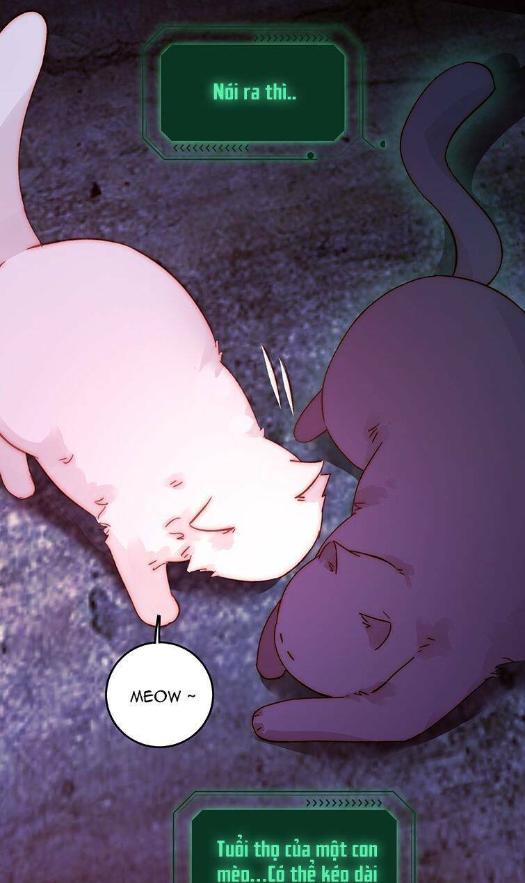 Tôi Phải Làm Một Kẻ Đại Xấu Xa Chapter 90 - Trang 2