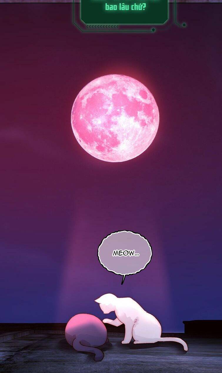 Tôi Phải Làm Một Kẻ Đại Xấu Xa Chapter 90 - Trang 2