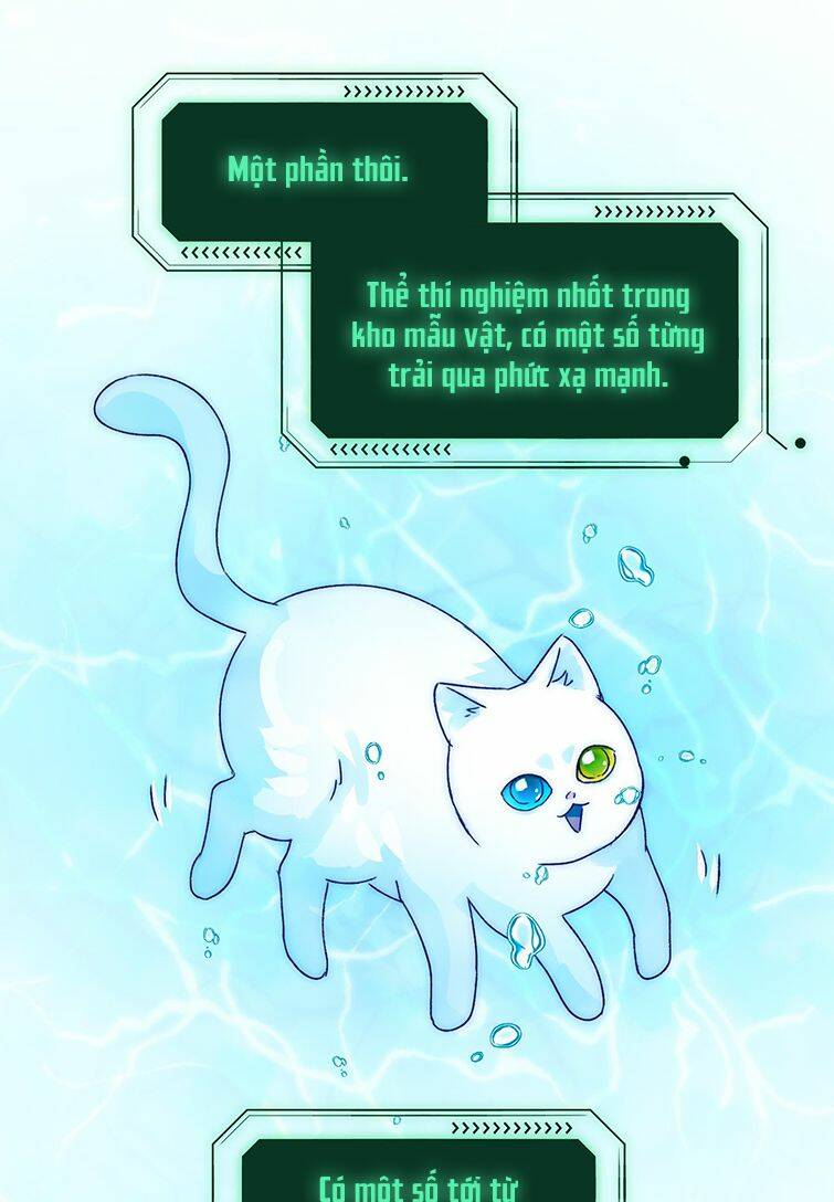 Tôi Phải Làm Một Kẻ Đại Xấu Xa Chapter 91 - Trang 2