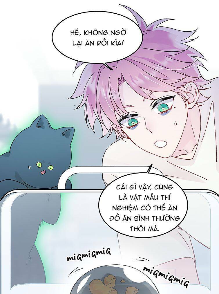 Tôi Phải Làm Một Kẻ Đại Xấu Xa Chapter 94 - Trang 2